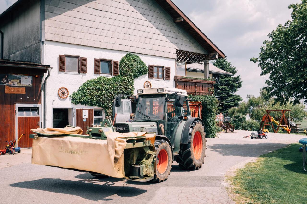 Bauernhofferien Oberduernberg Villa Seekirchen am Wallersee Exterior photo