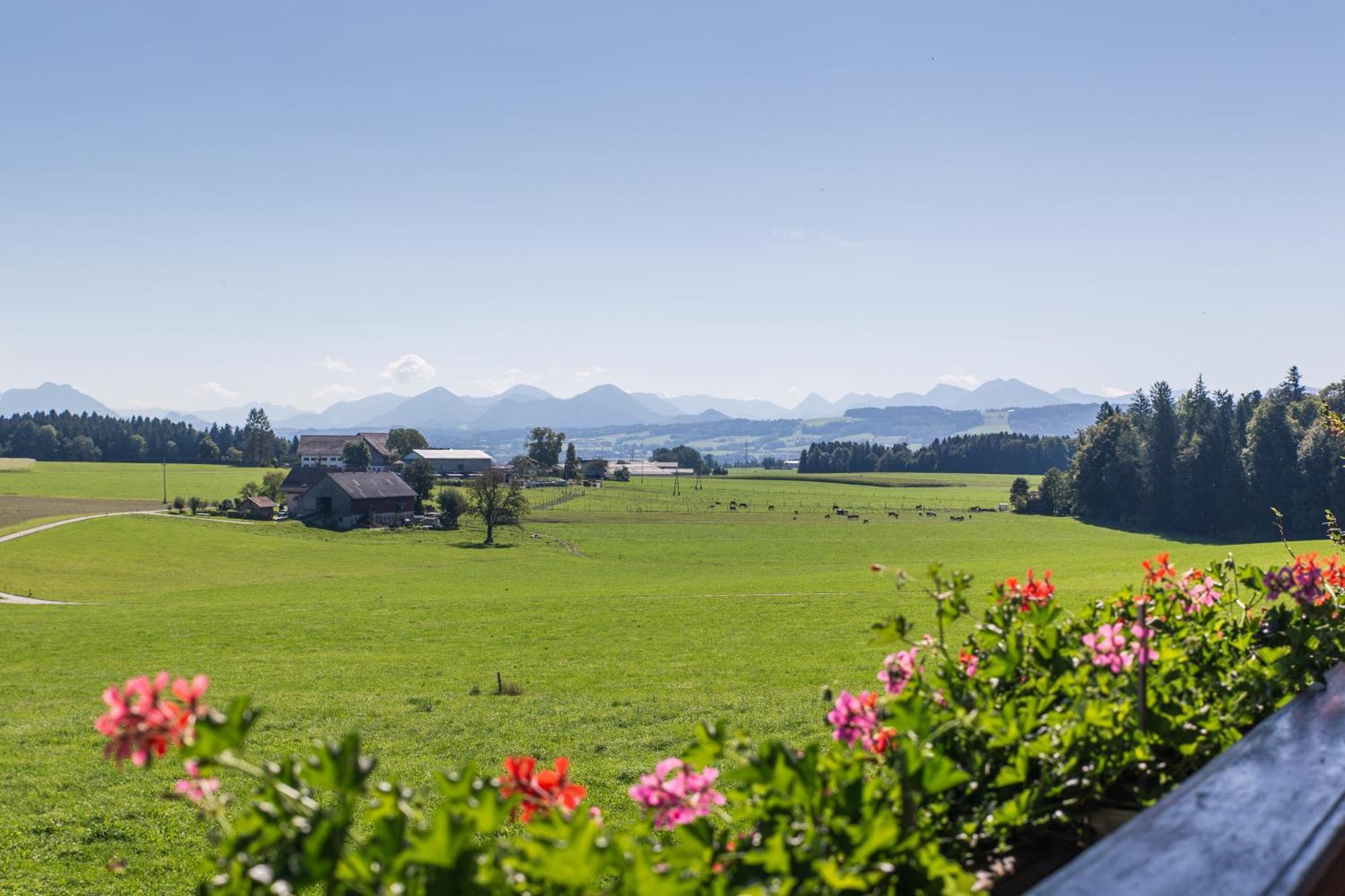 Bauernhofferien Oberduernberg Villa Seekirchen am Wallersee Room photo